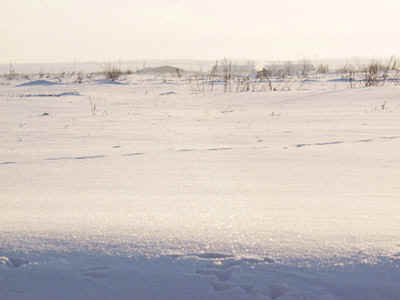 09.jpg (99799 bytes)